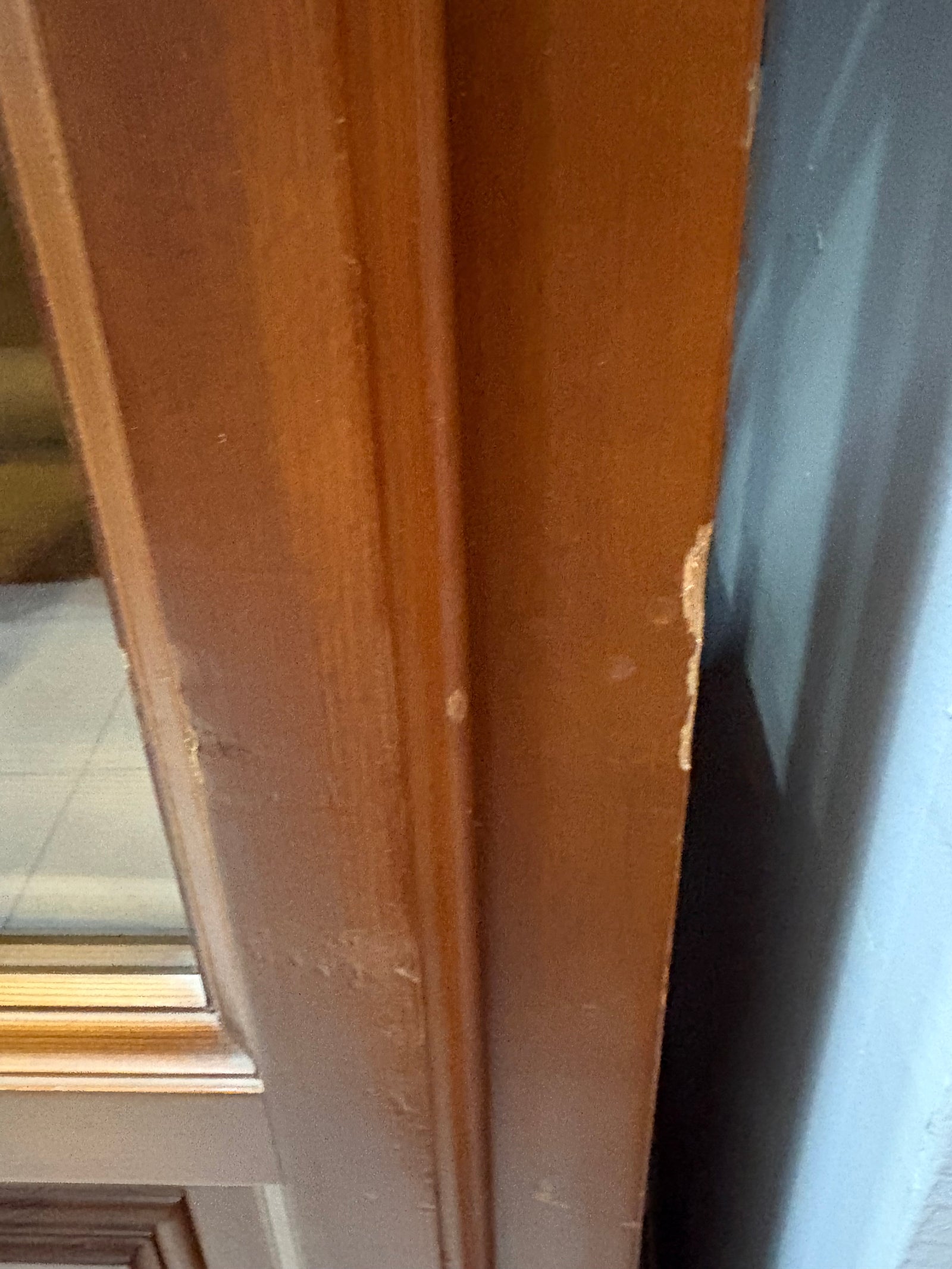 Vitrina de pino con puertas de cristal — imagen 6