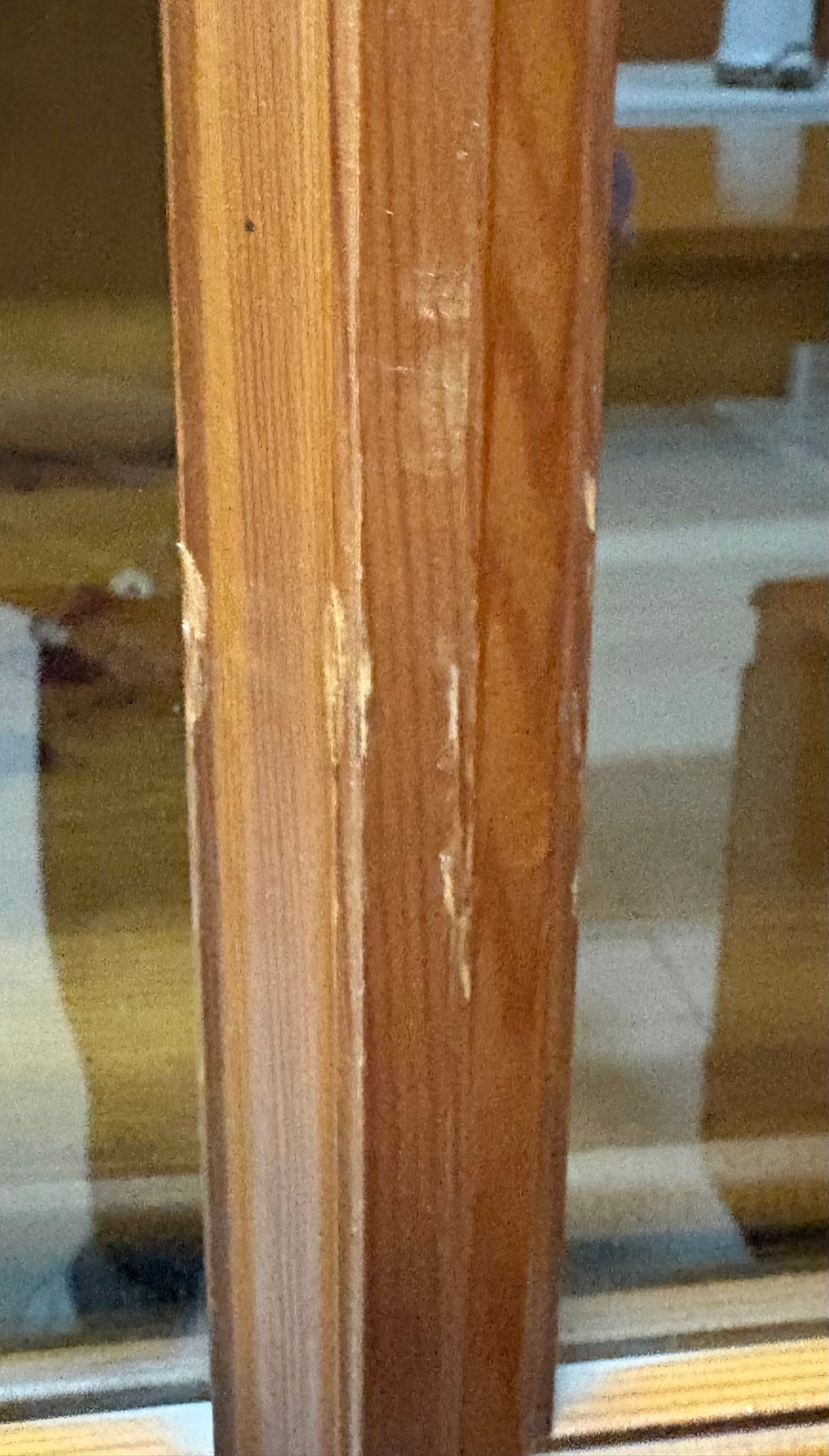 Vitrina de pino con puertas de cristal — imagen 7