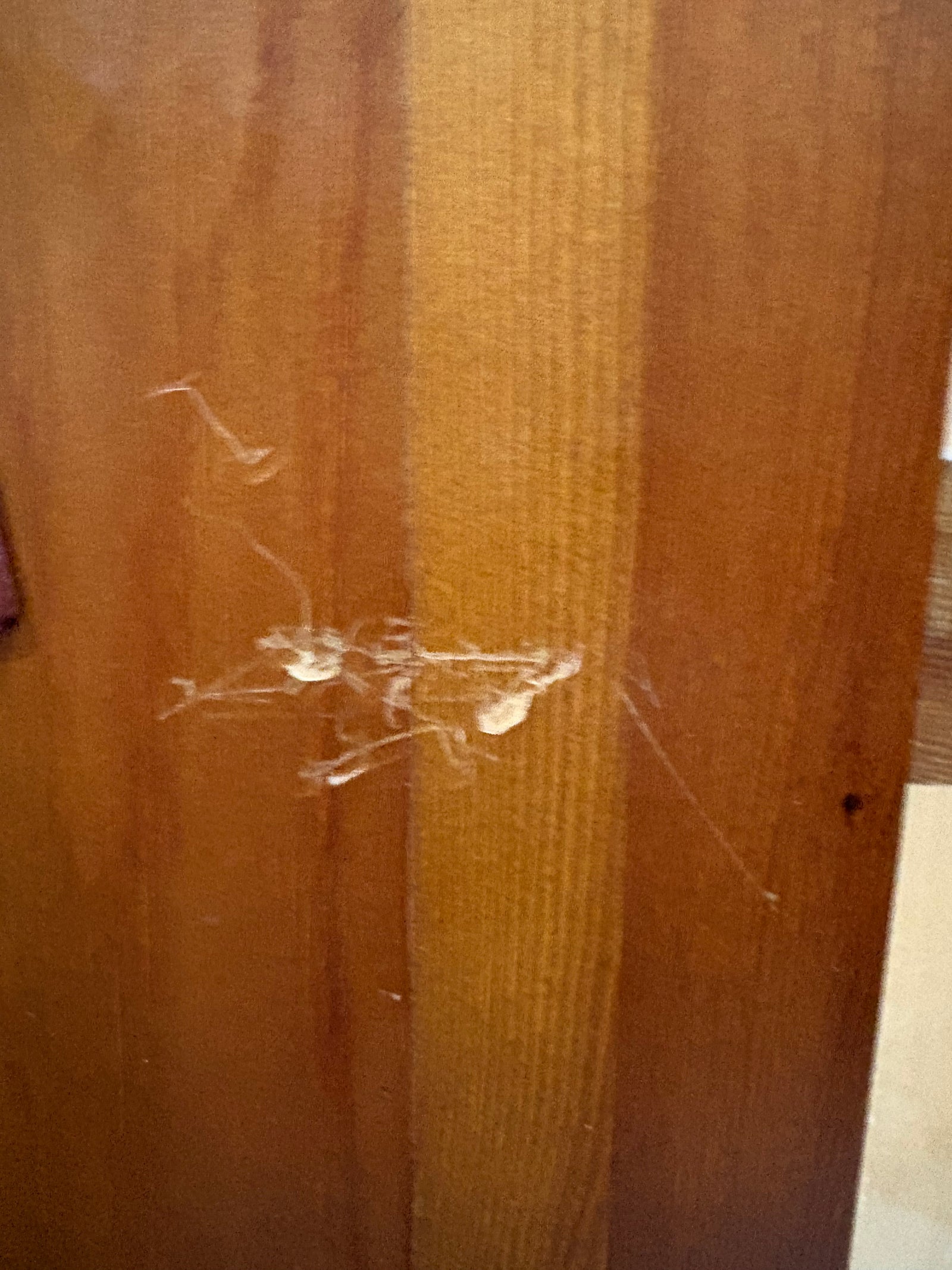 Vitrina de pino con puertas de cristal — imagen 10