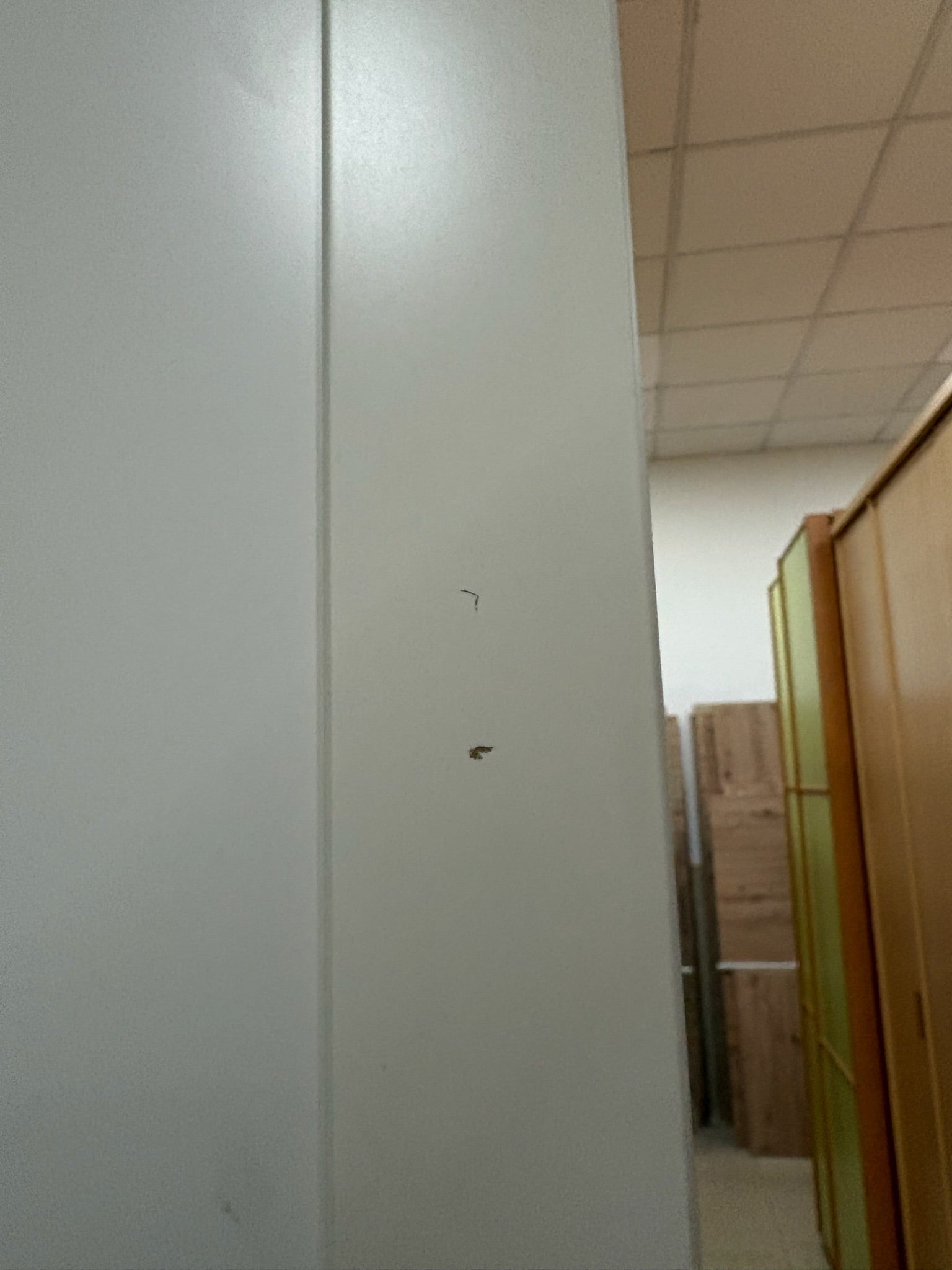 Armario tres puertas IKEA bergsbo — imagen 5