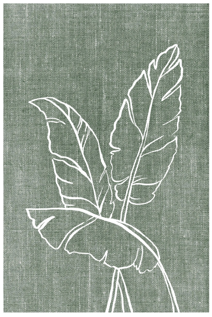 Lámina decorativa plantas