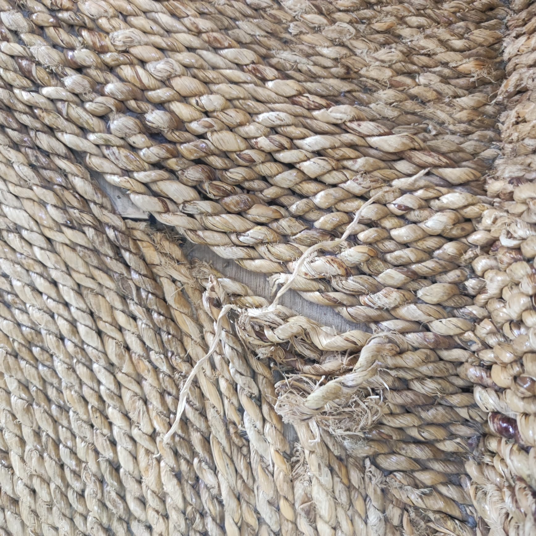 Una silla con anea rota (imperfección de Conjunto de comedor de madera oscura con 6 sillas de anea)