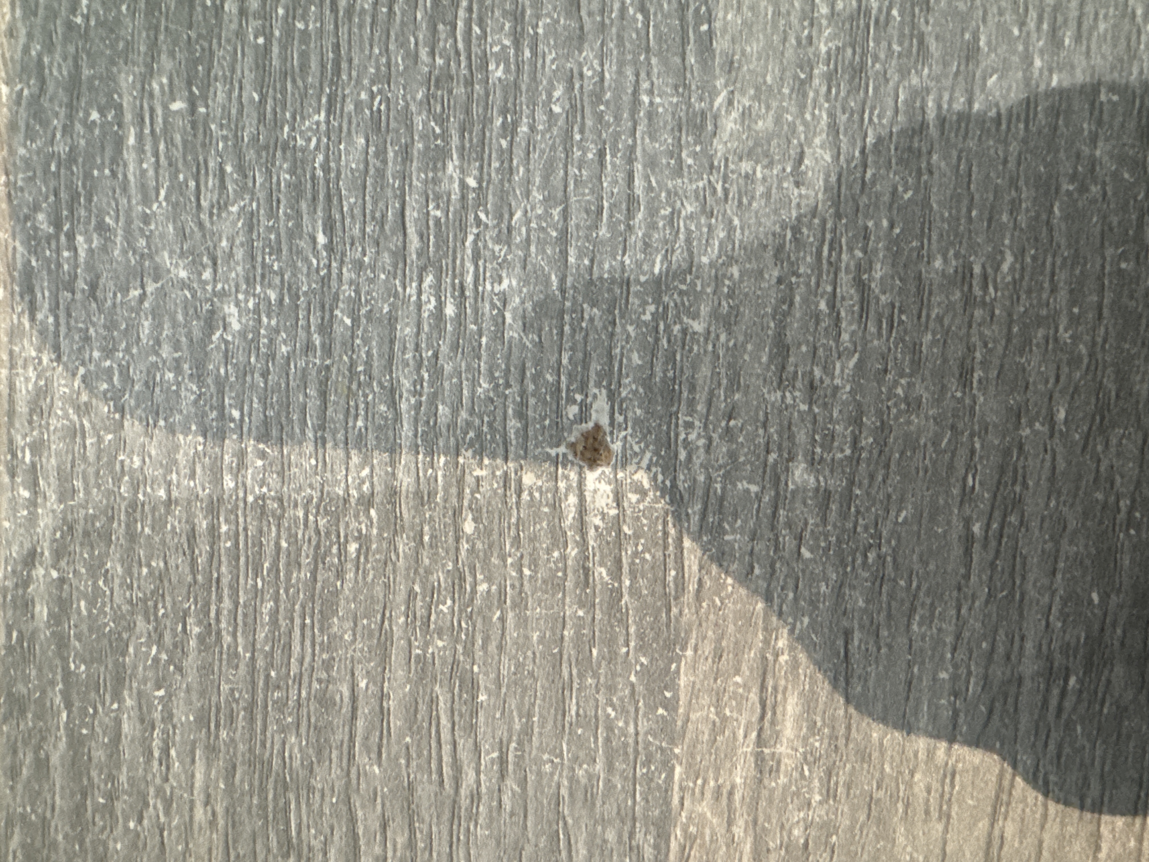 Pequeño desgaste (imperfección de Salón comedor)